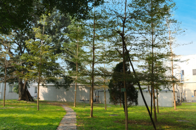 客戶(hù)友誼林