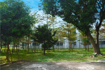 客戶(hù)友誼林