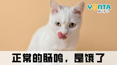 肚子總愛(ài)“咕咕叫”？除了餓，還有這4種原因！