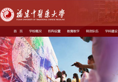 網(wǎng)站群